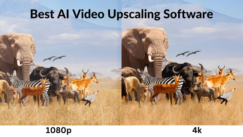 video enhance ai mac